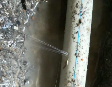 东方测漏水哪家好