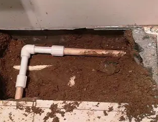 东方测漏水哪家好