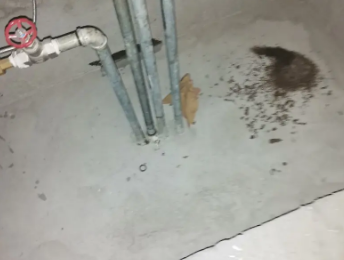 东方卫生间测漏水价格明细