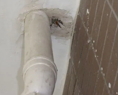 东方漏水检测哪家好